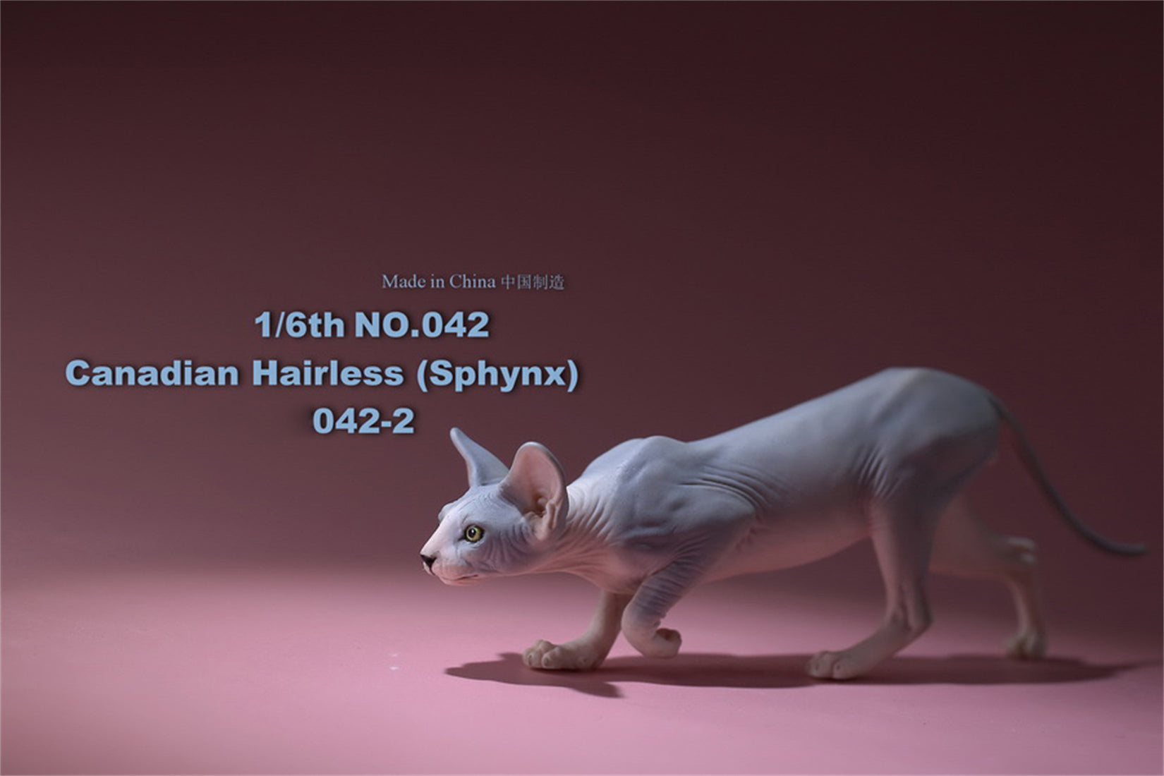 1/6 Canadian Hairless Figure
