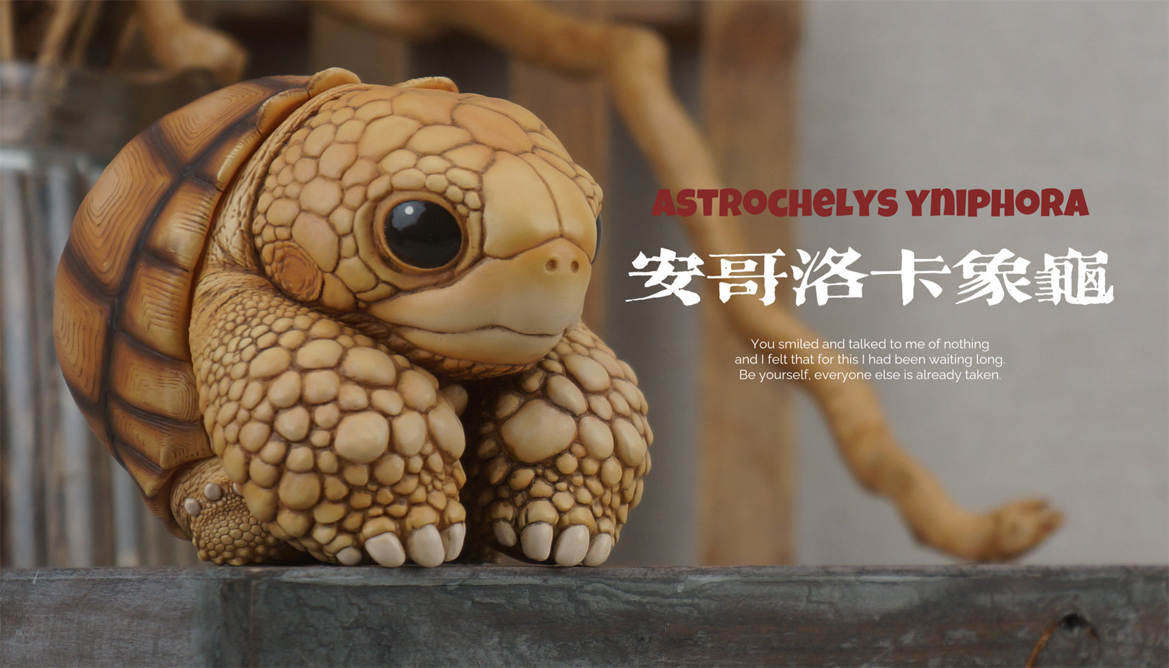 Common Snapping Turtle & Ploughshare Tortoise Figure