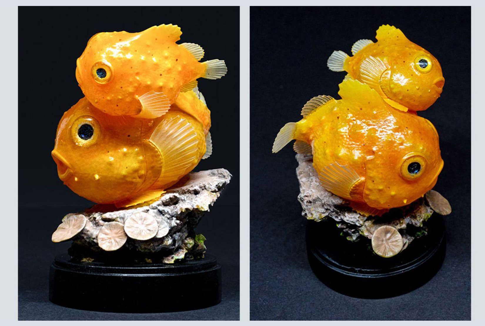 Schildkröten-Serie Tiermodell