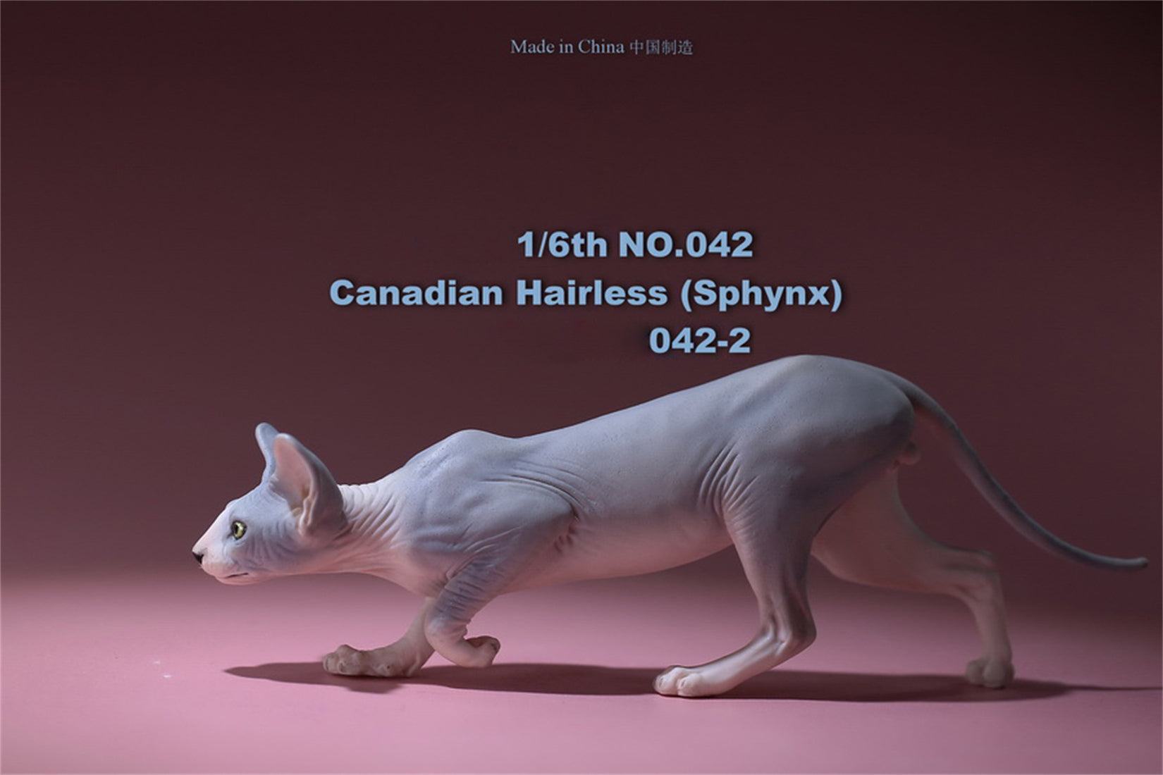 1/6 Canadian Hairless Figure