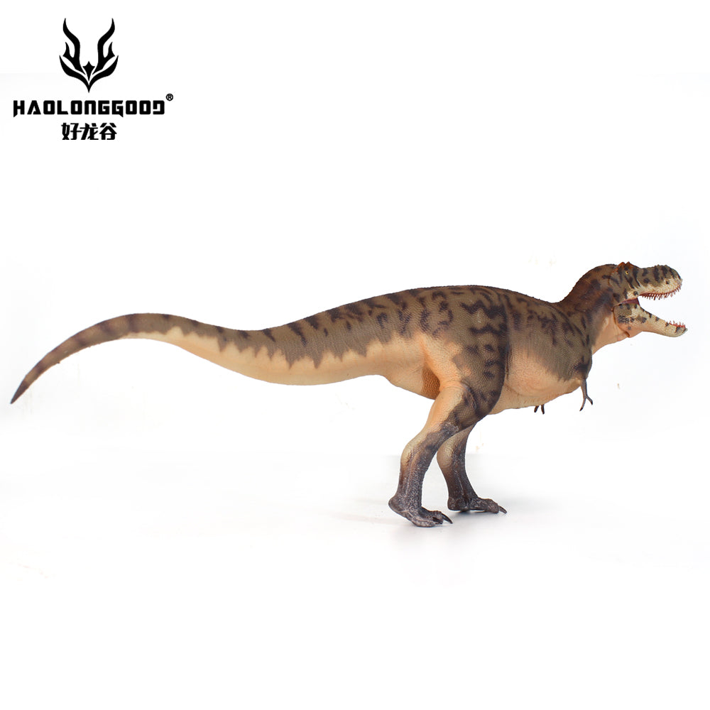HAOLONGGOOD 1:35 Scale Tarbosaurus Model