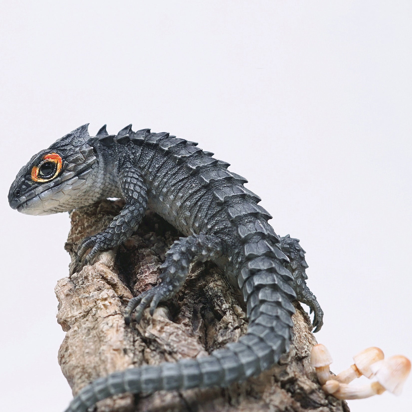 Schildkröten-Serie Tiermodell