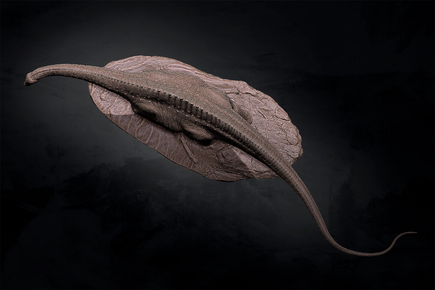 Anningpale 1:35 Scale Maraapunisaurus Model