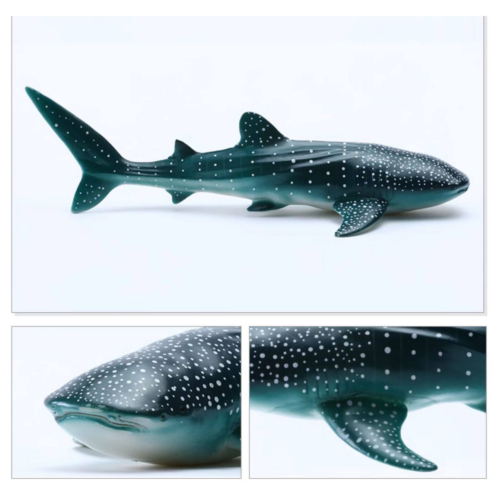 RECUR Whale Shark Model