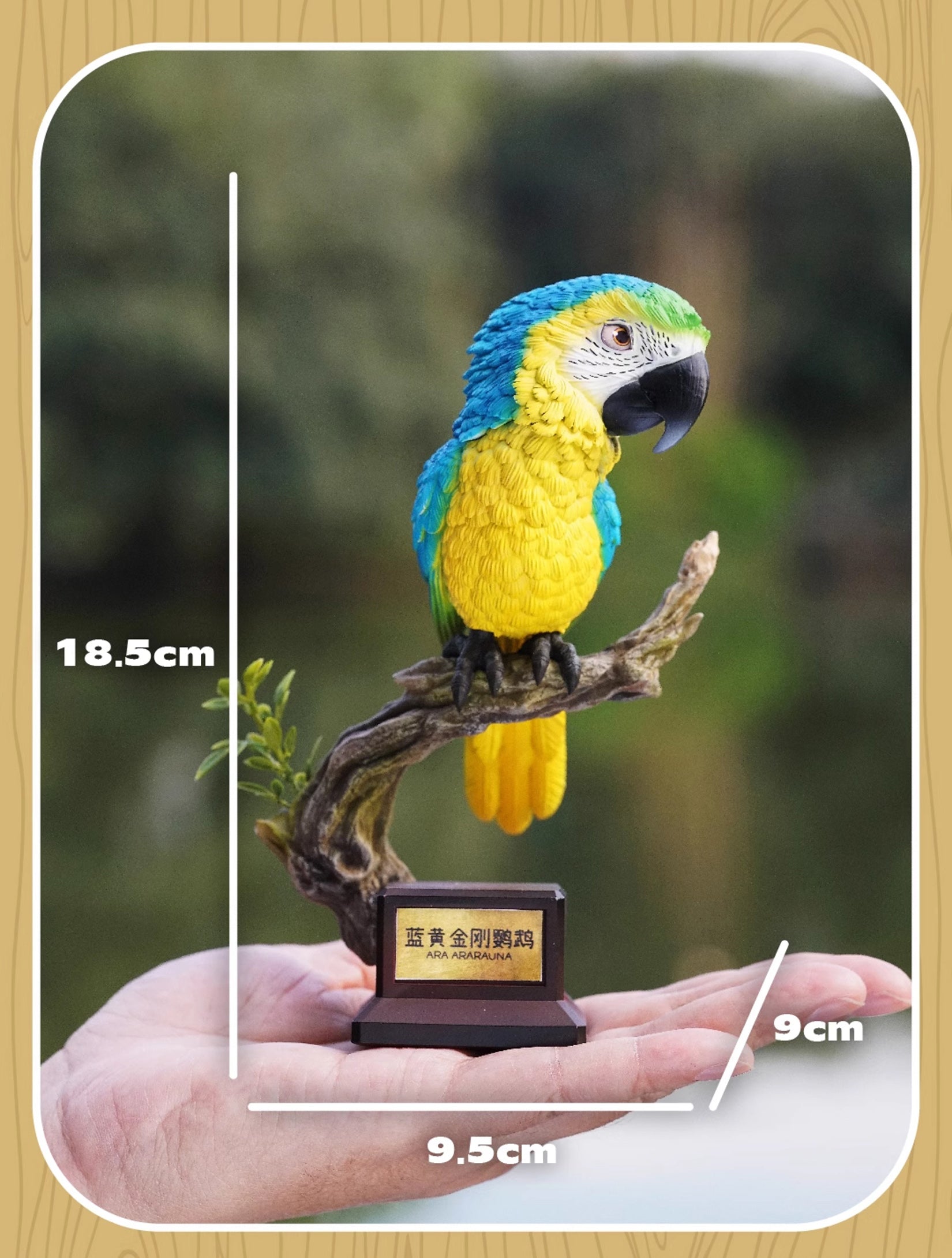 Ara Ararauna & Ara Macao Parrot Model