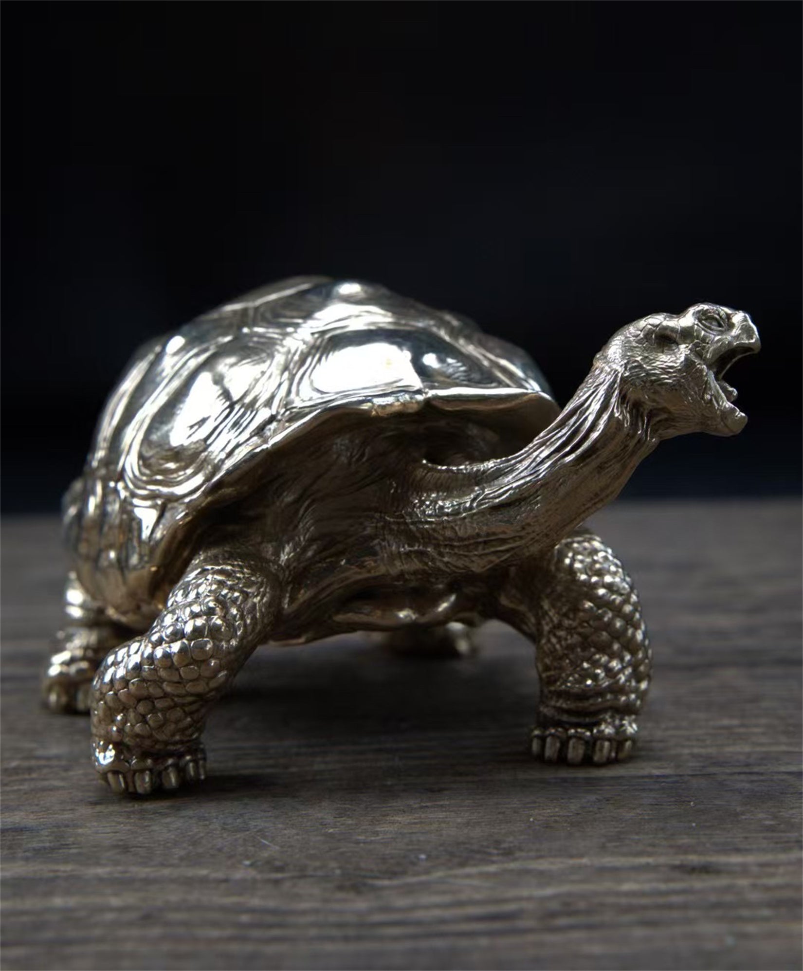 BOWUZHI Studio Chelonoidis Niger Model