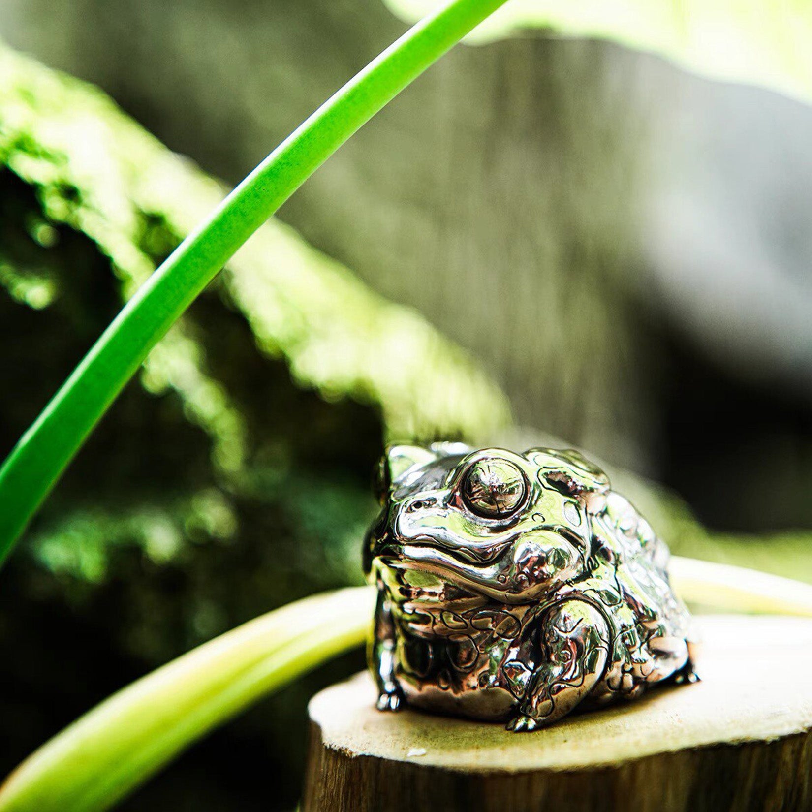 BOWUZHI Studio Toad Model Animal Figure Collector