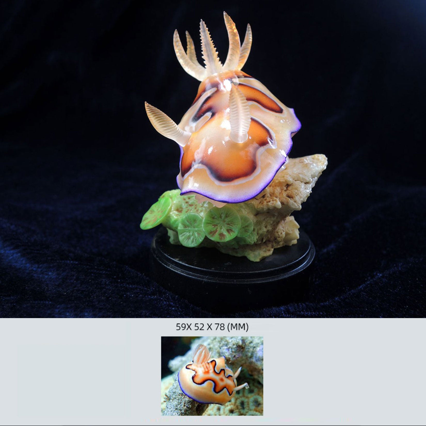 Sea Sprite 03 Series Model