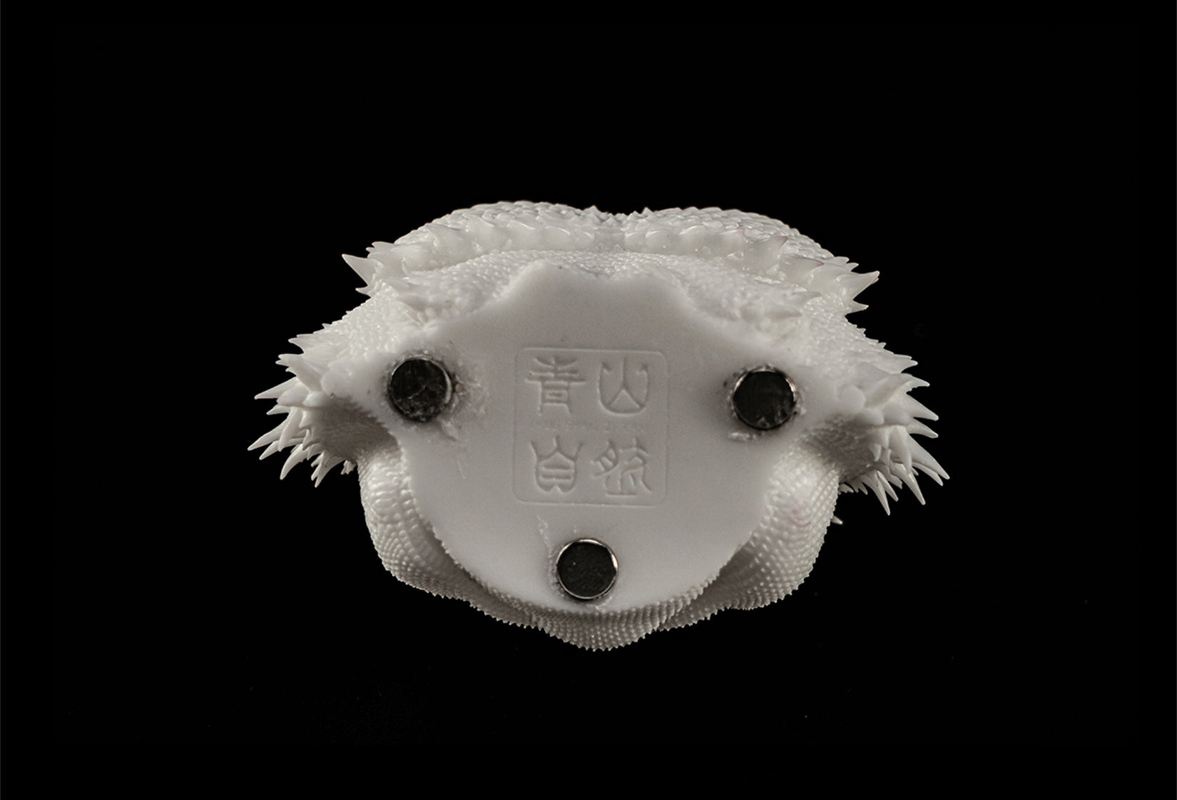 Pogona Vitticeps Head Model