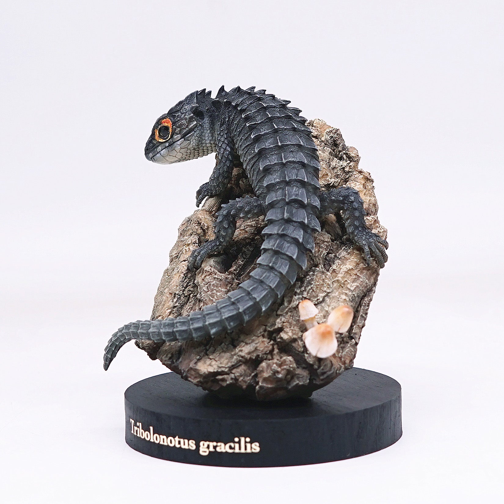 Schildkröten-Serie Tiermodell