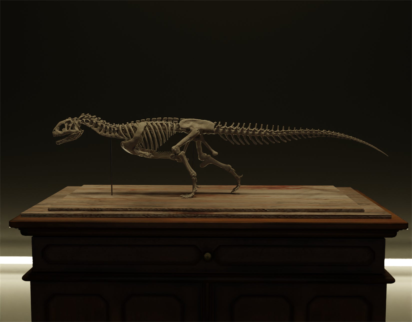 Nova Studio 1/6 Scale Majungasaurus crenatissimus keleton Model