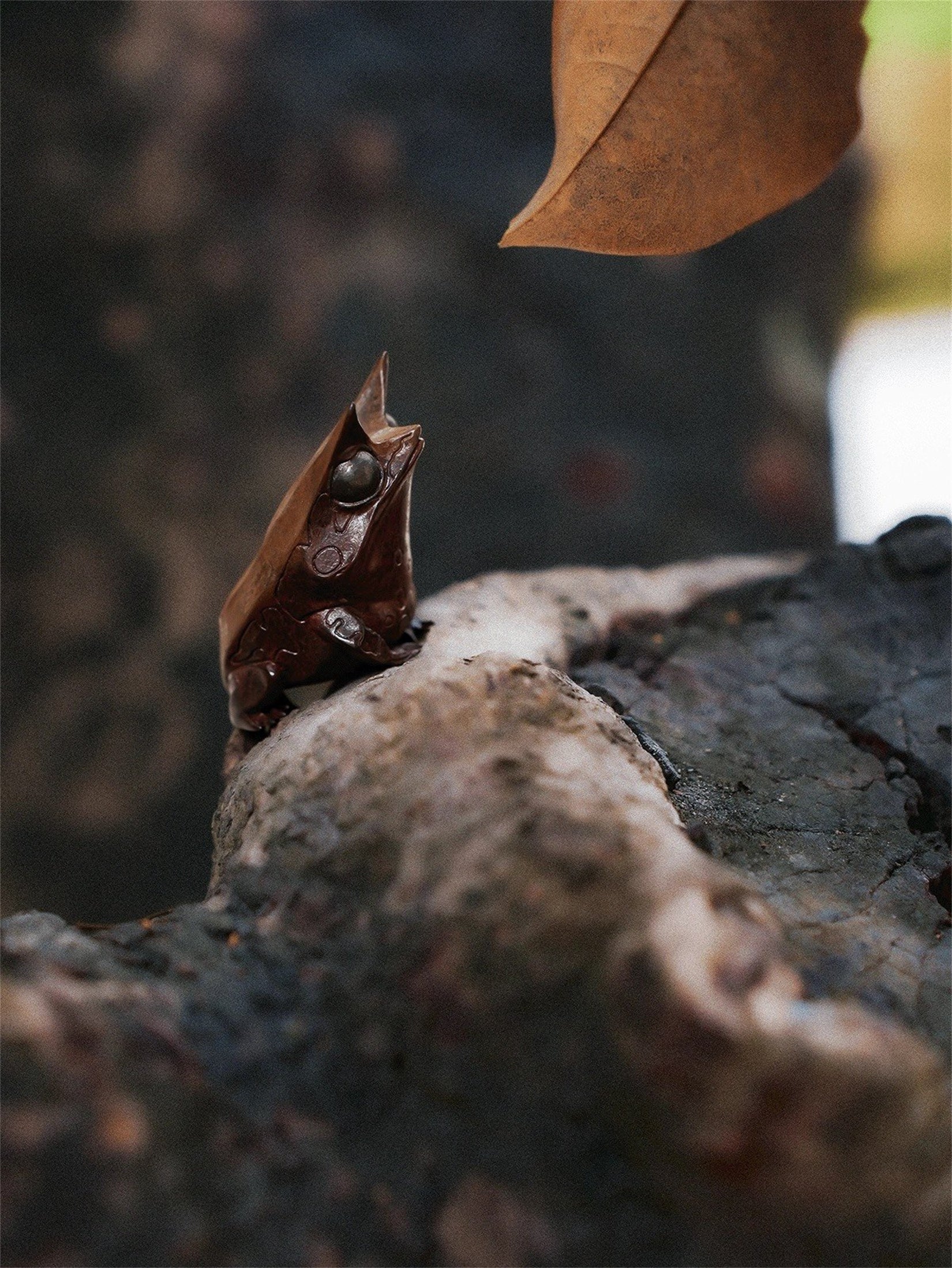 Schildkröten-Serie Tiermodell