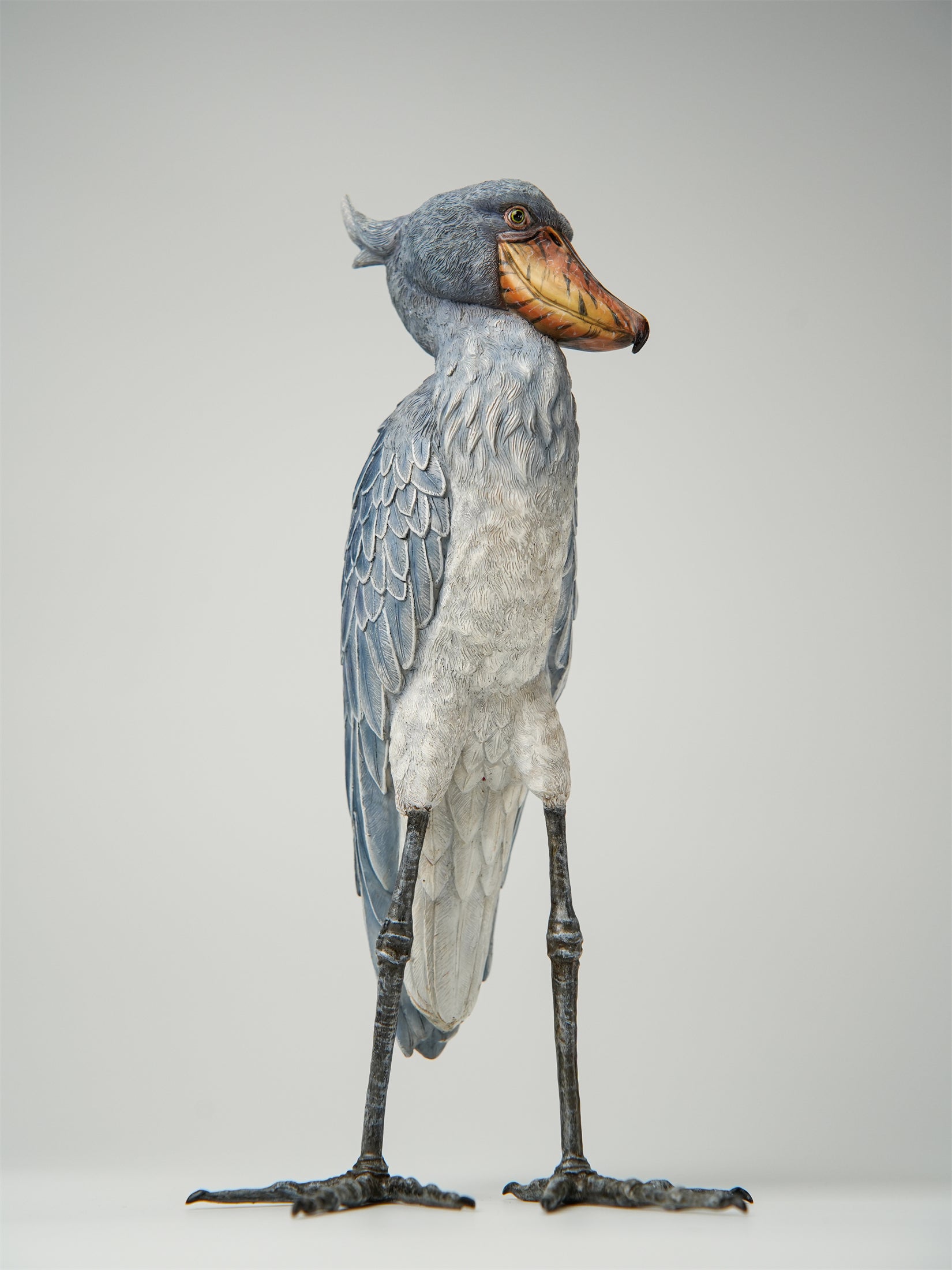 Shoebill Model