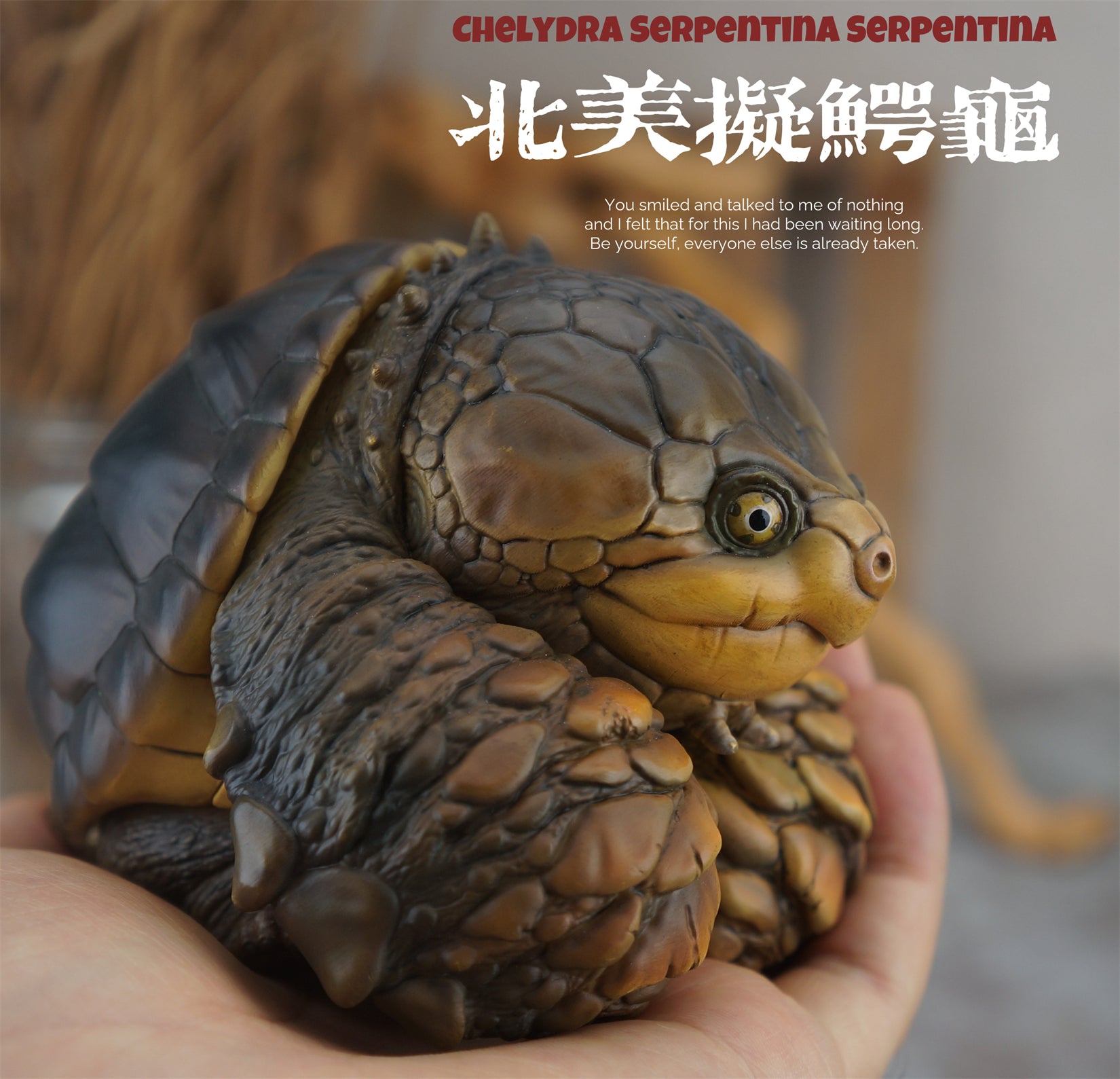 Common Snapping Turtle & Ploughshare Tortoise Figure