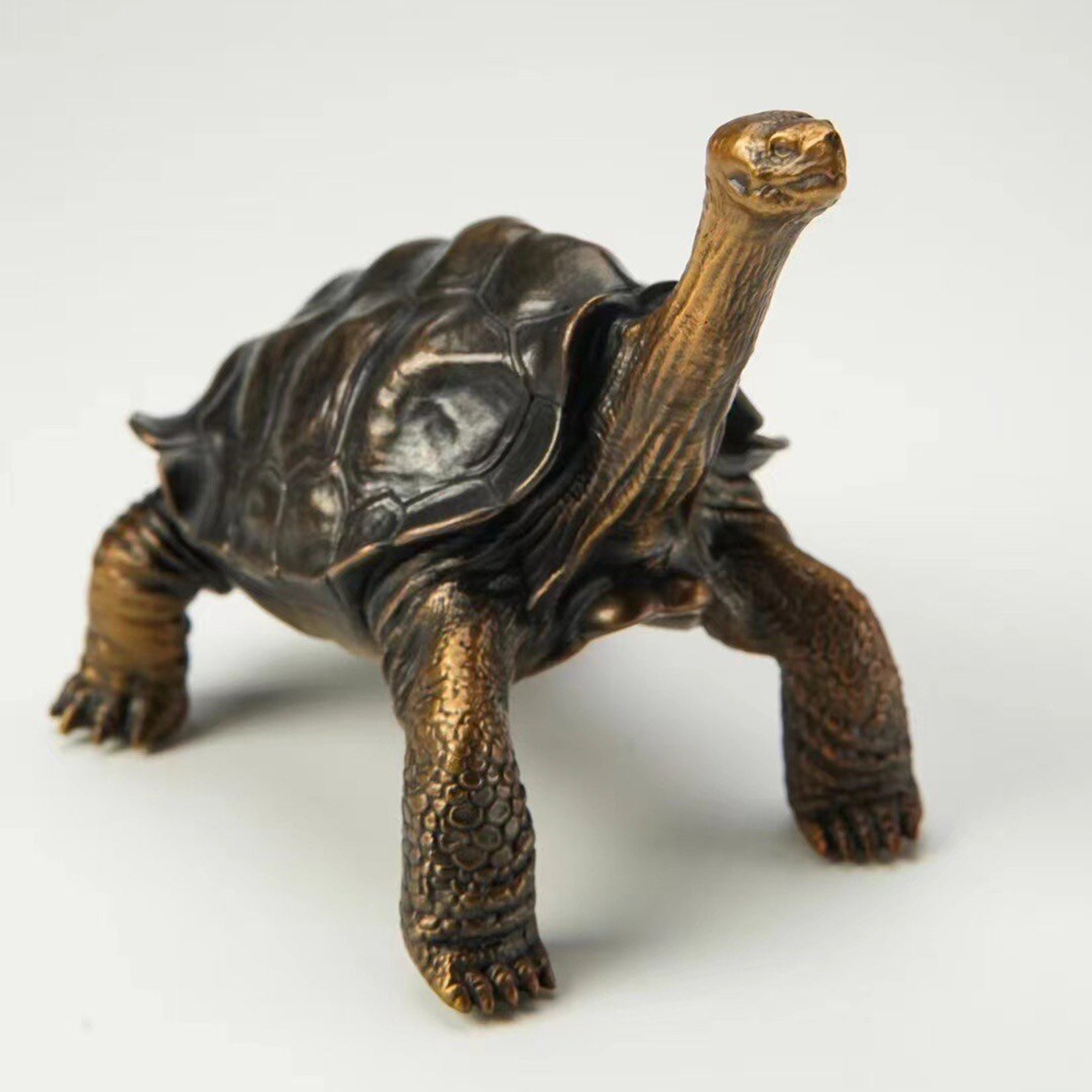 BOWUZHI Studio Galapagos Giant Tortoise Figure