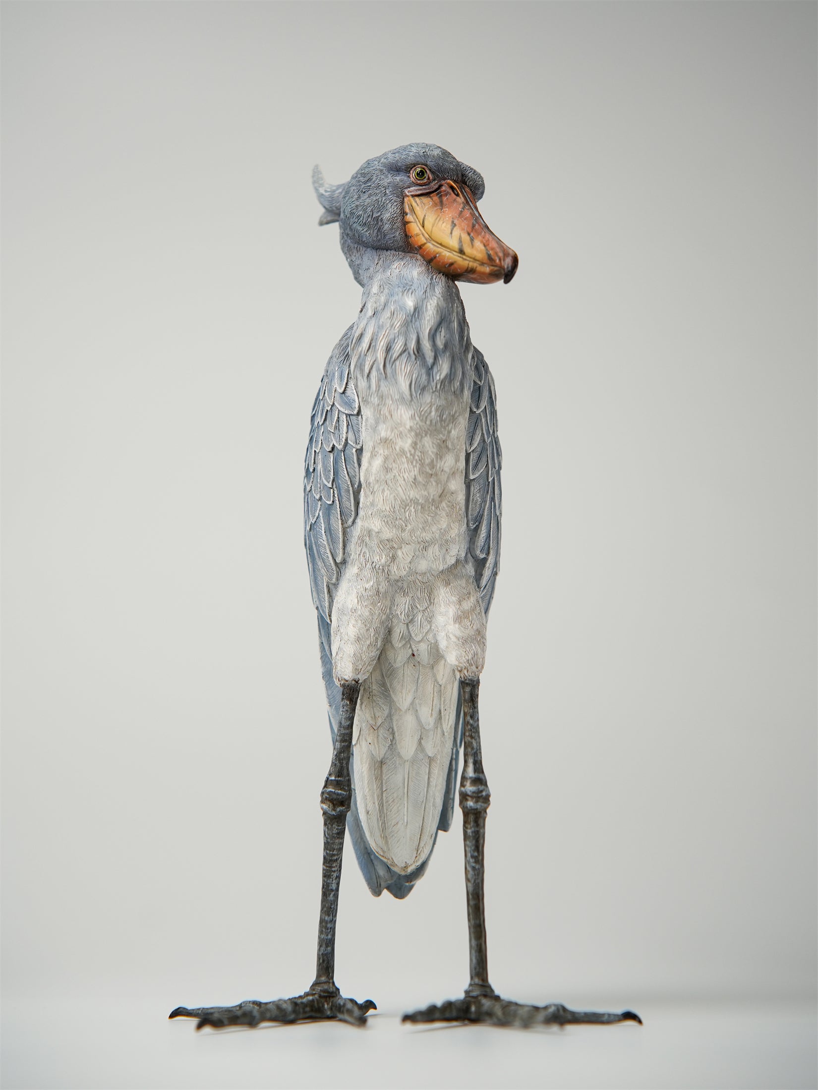 Shoebill Model