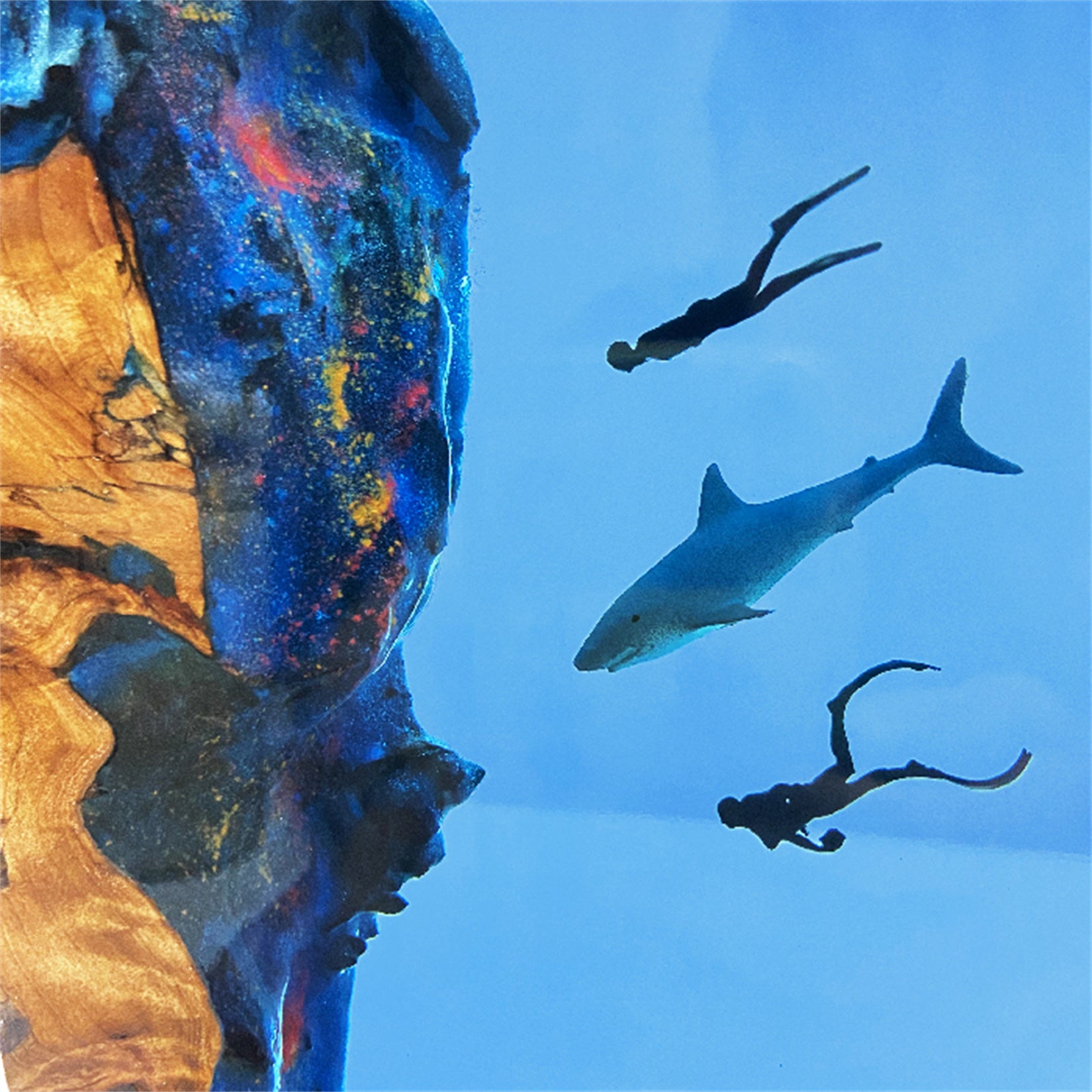 The Shark & Divers Ocean Model