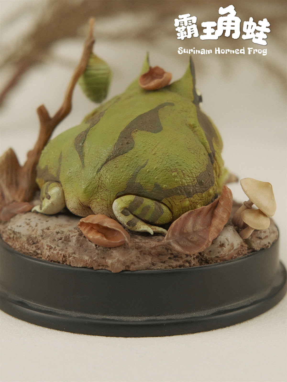 Bowuzhi Studio Limited Edition Surinam Horned Frog Scene Model