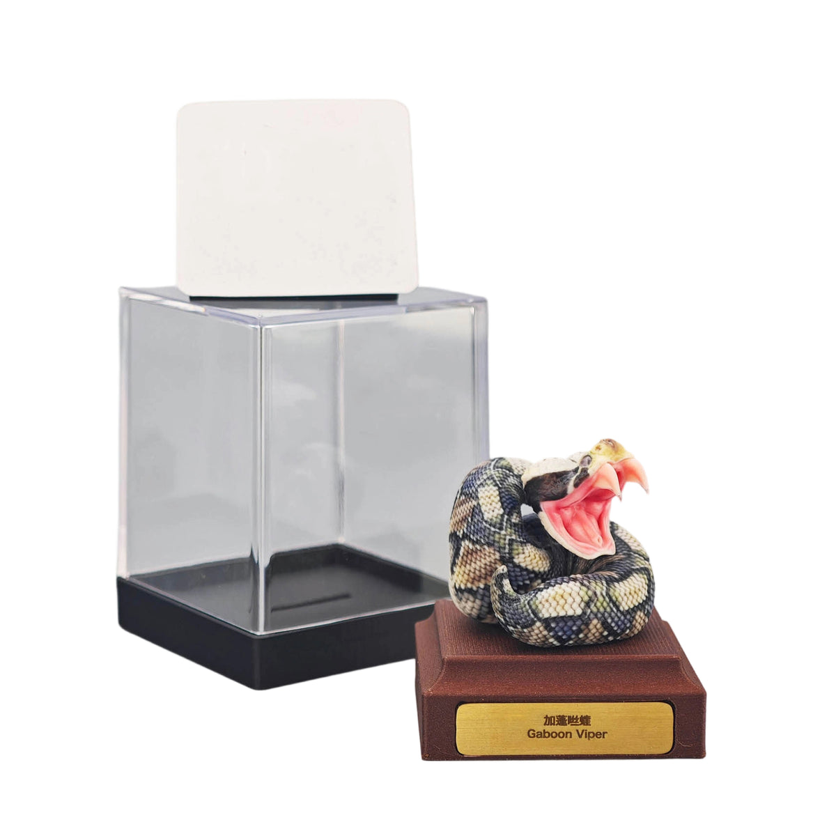 ViVid Studio Rhinoceros Viper & Gaboon Viper Model