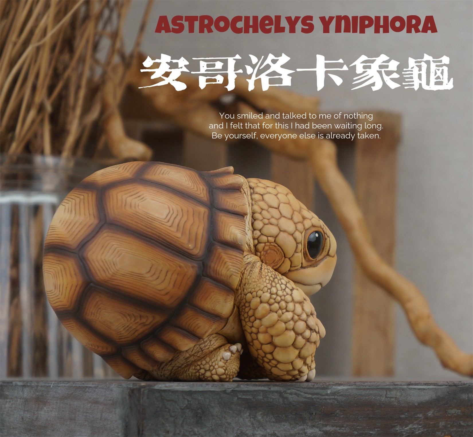 Common Snapping Turtle & Ploughshare Tortoise Figure