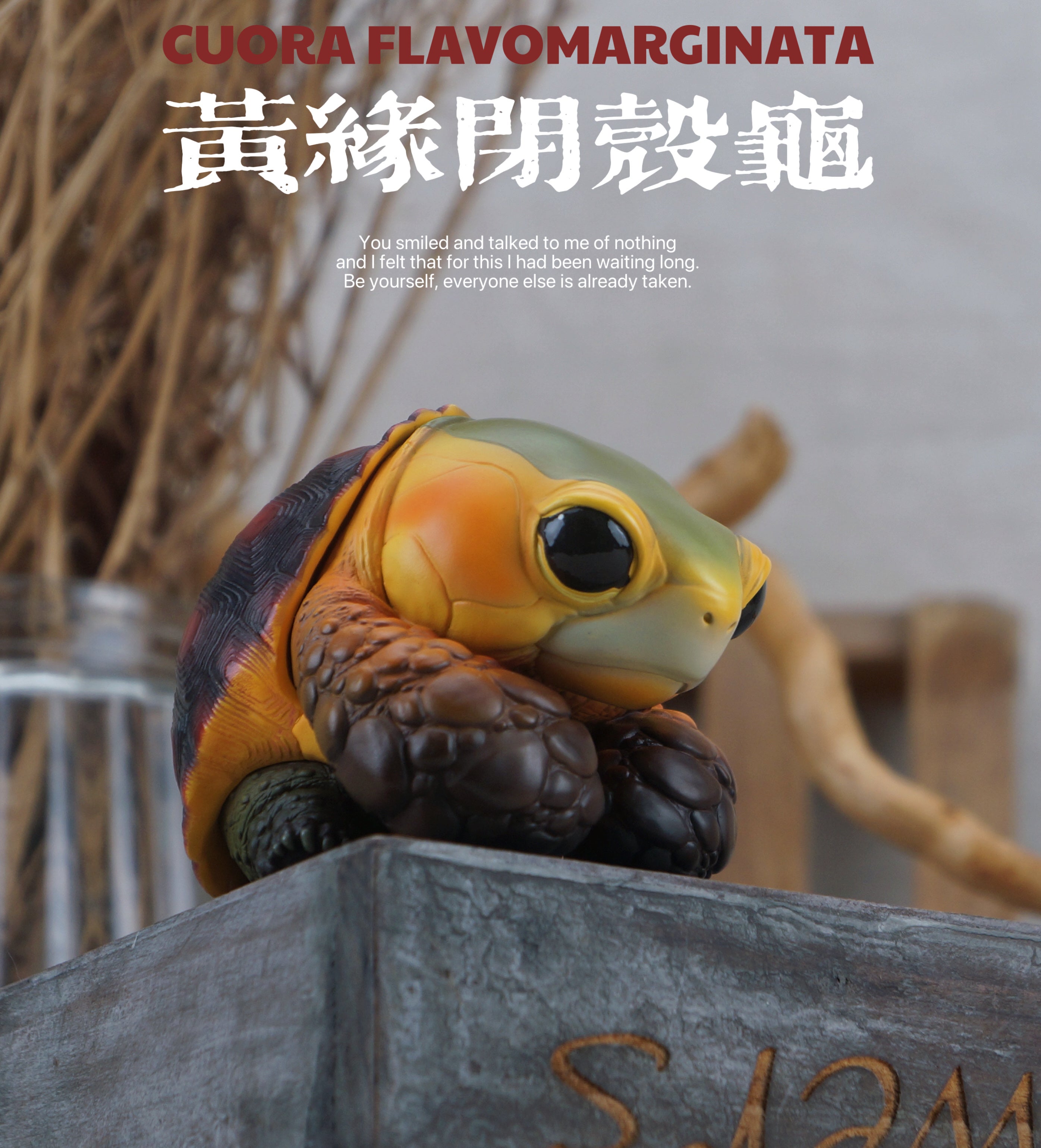 Turtle Model Pet Animal Figure