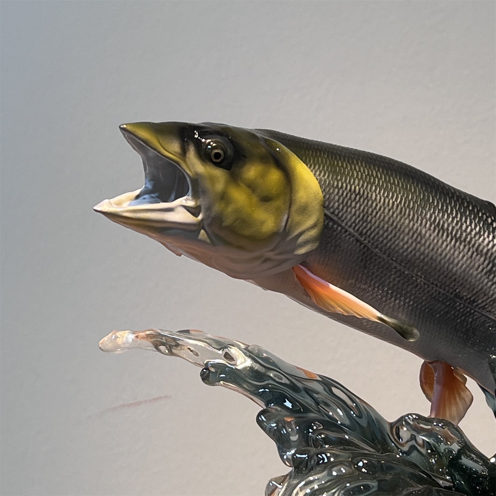 Elopichthys Bambusa Model