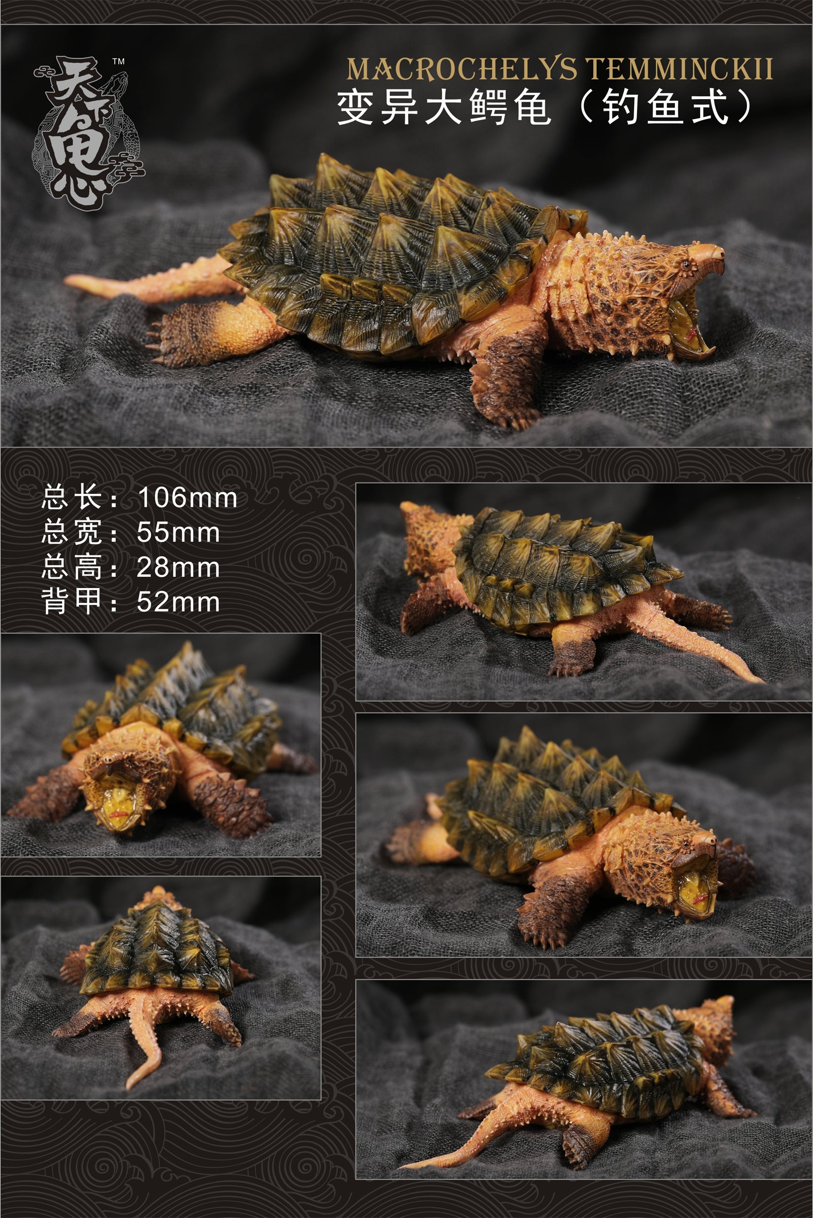 Turtle Model Series