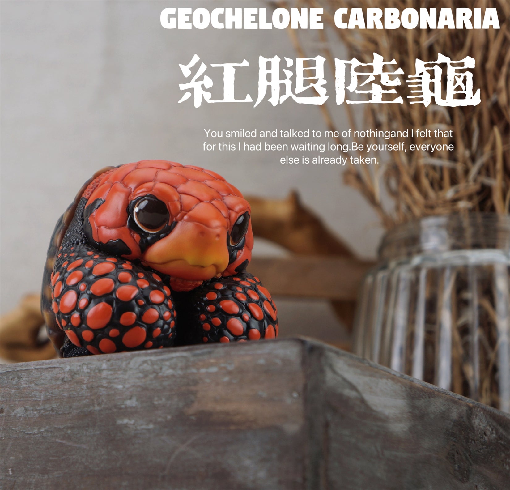 BOWUZHI Studio Geochelone Carbonaria & Chelonoidis Galapagoensis Model