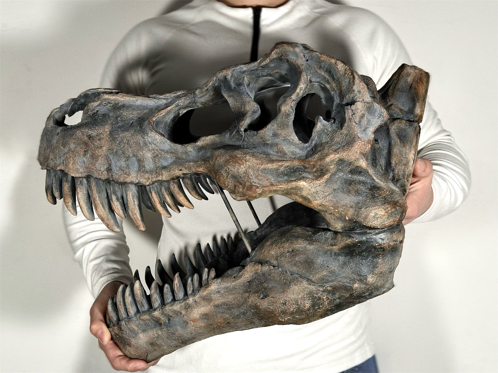 BOWUZHI Studio Sumatra-Orang-Utan-Modell im Maßstab 1:6