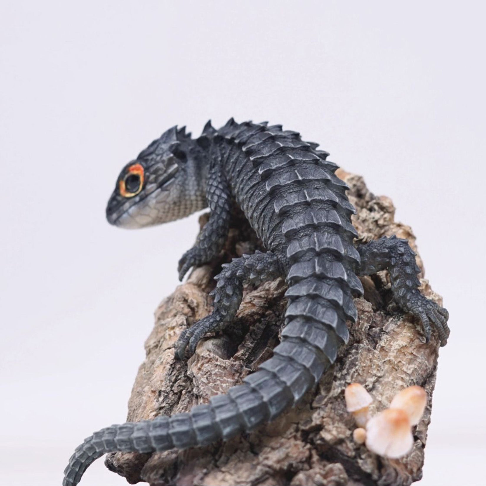 Schildkröten-Serie Tiermodell