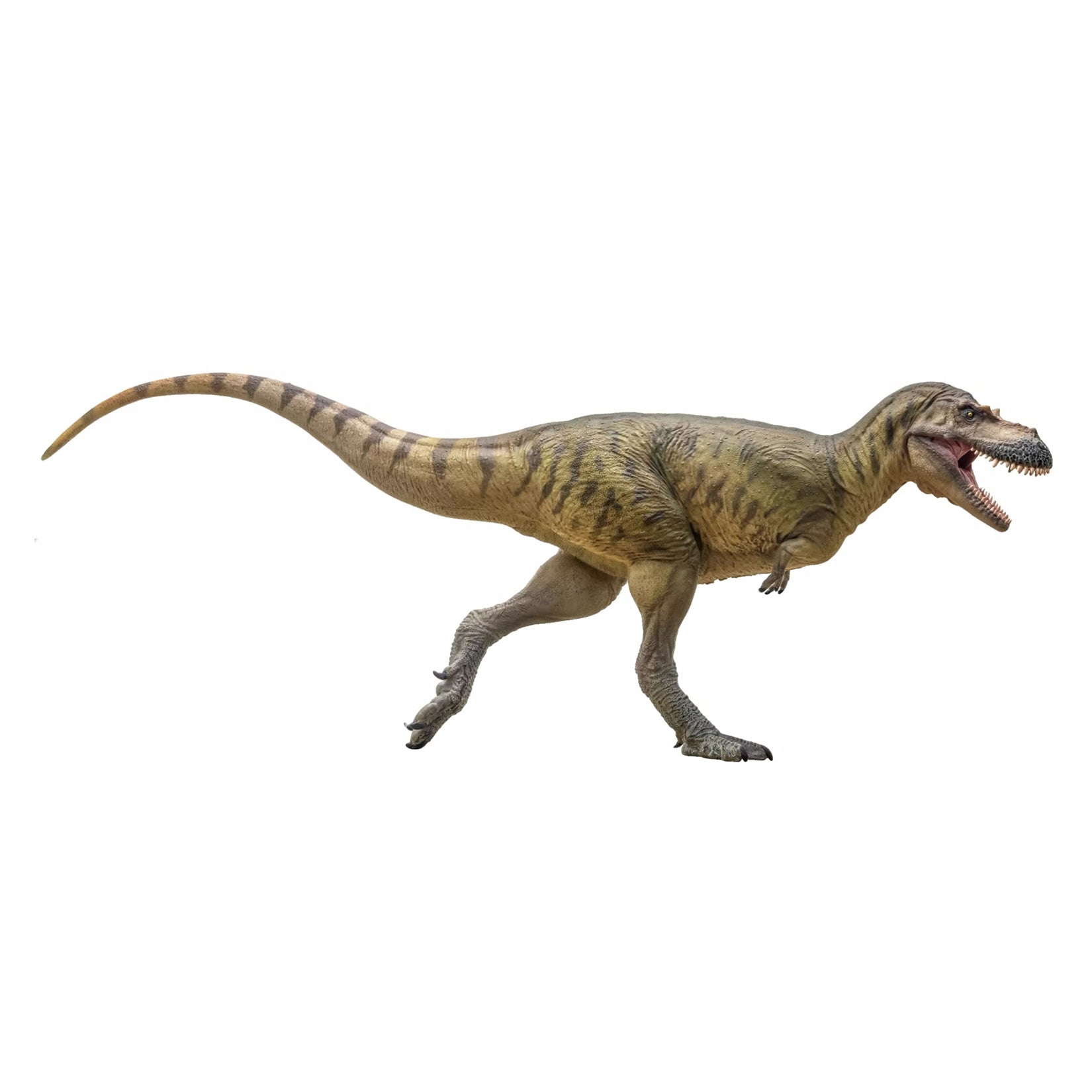PNSO Albertosaurus Wally Model
