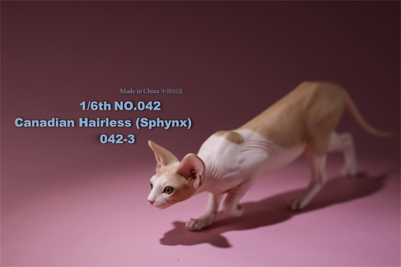 1/6 Canadian Hairless Figure