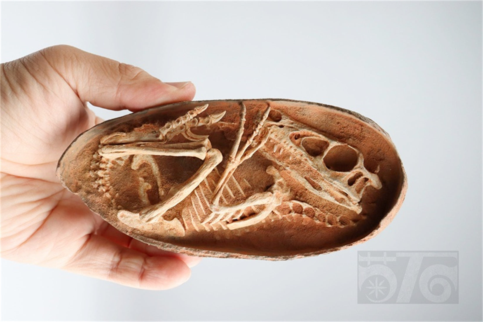 1:1 Scale Velociraptor Dinosaur Egg Model