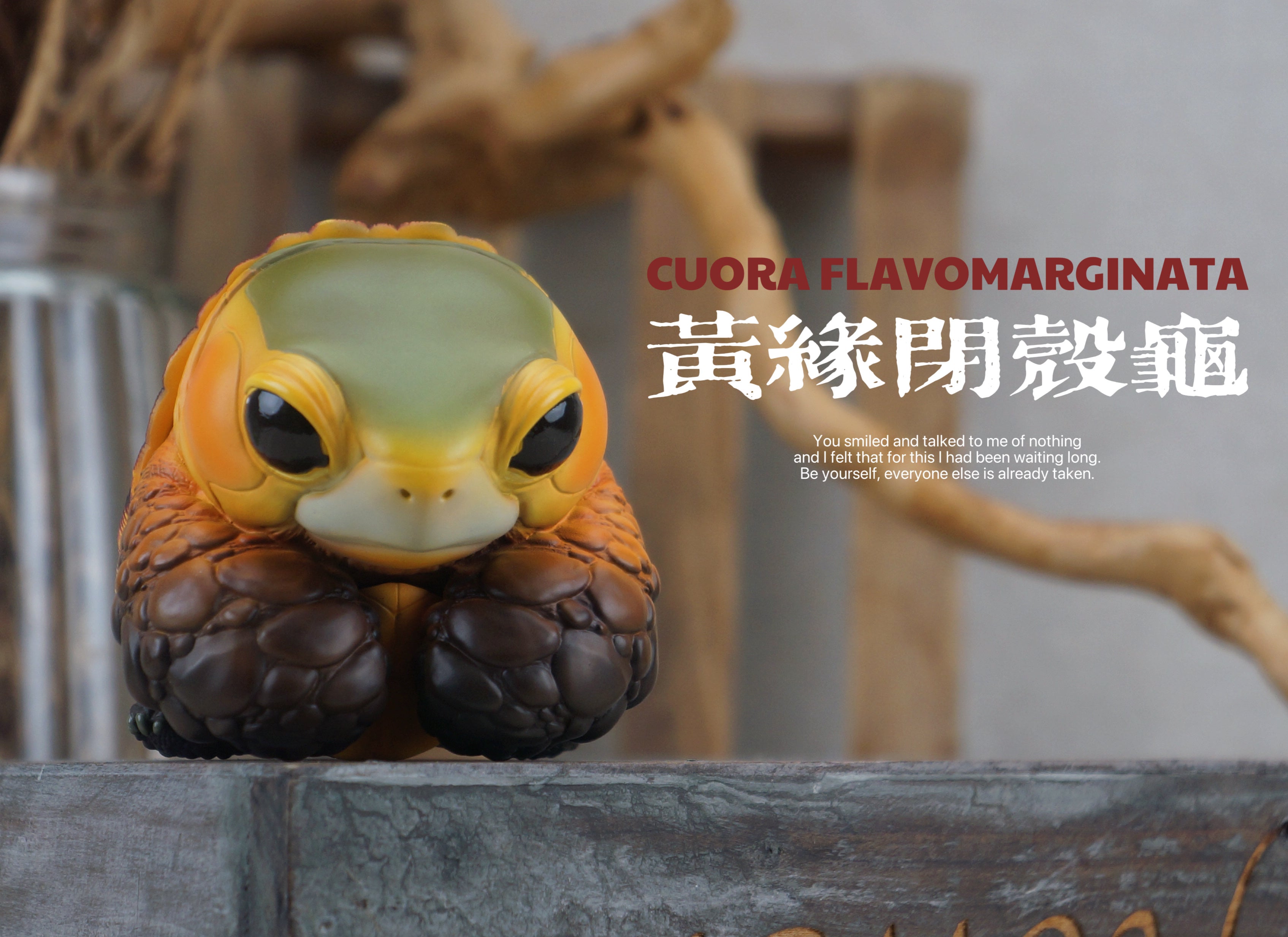 Turtle Model Pet Animal Figure