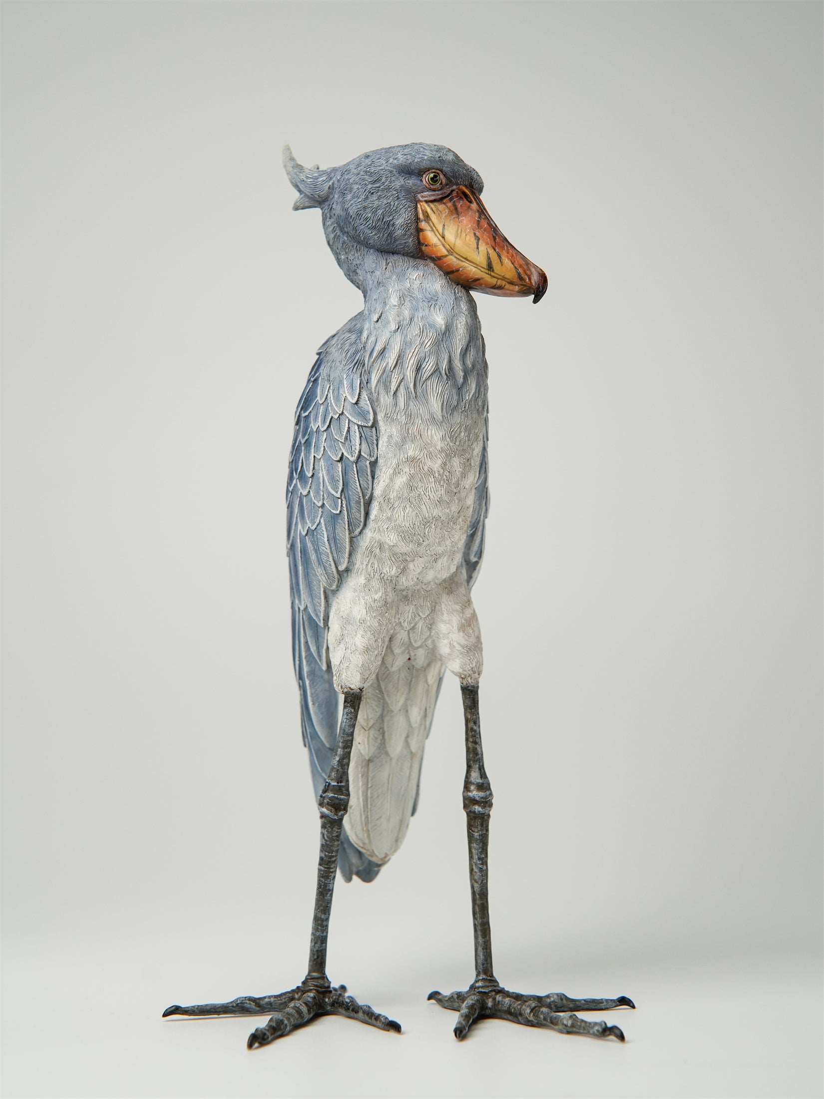 Shoebill Model