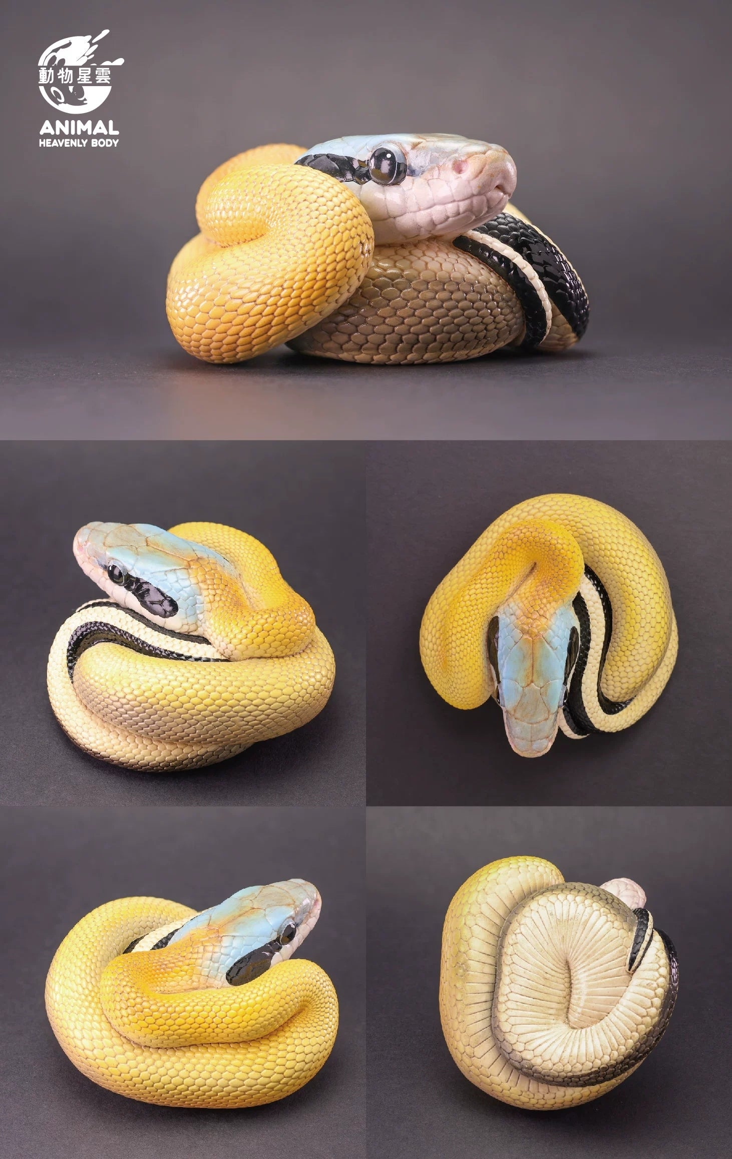 Animal Heavenly Body 23 Snake 3.0 Blind Box Model