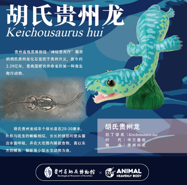 Animal Heavenly Body Dinosaur and Animal Models