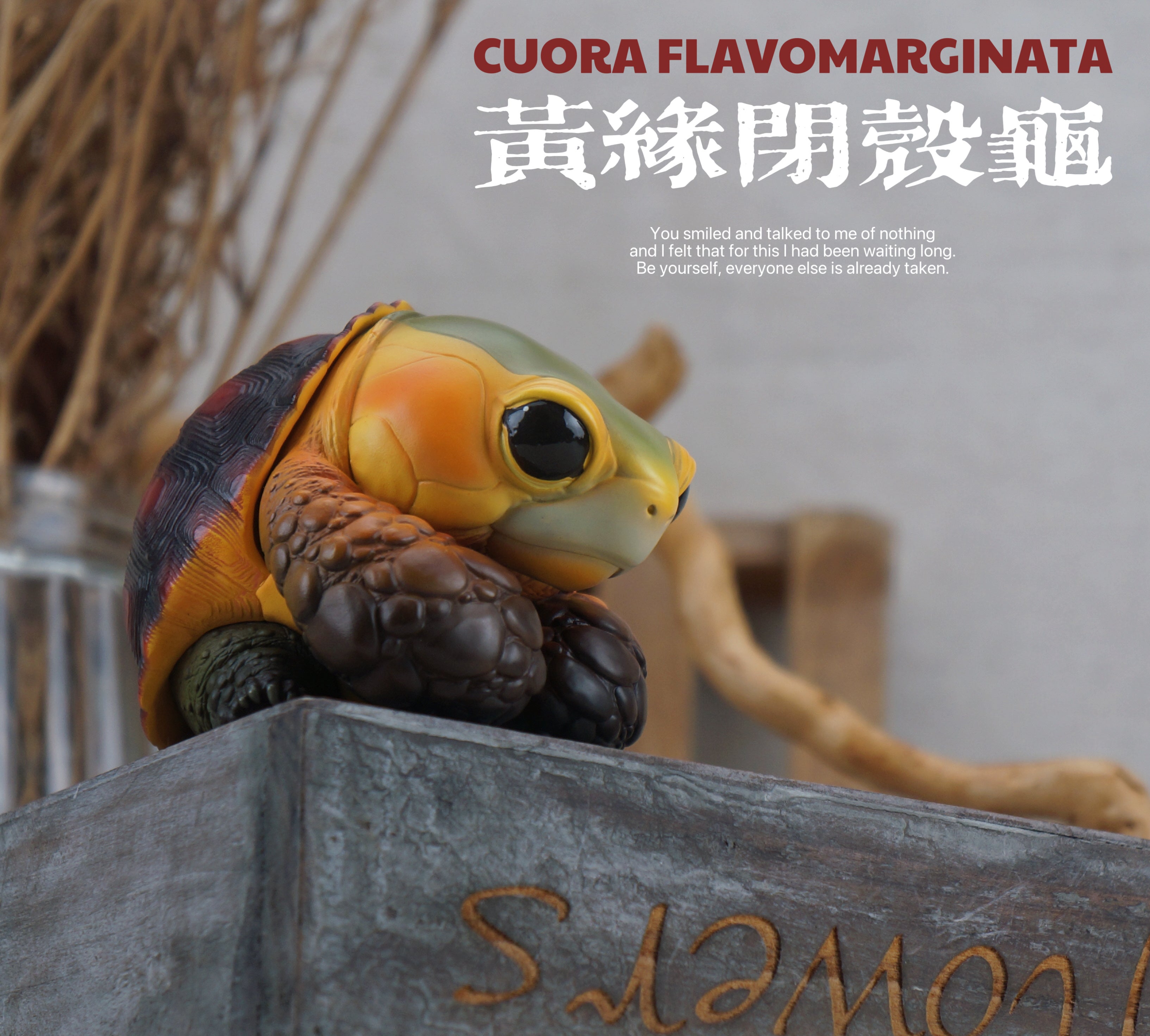 Turtle Model Pet Animal Figure