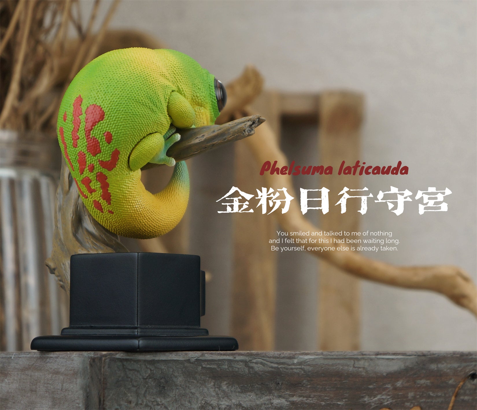 Gekko Gecko 03 Series Blind Box Model