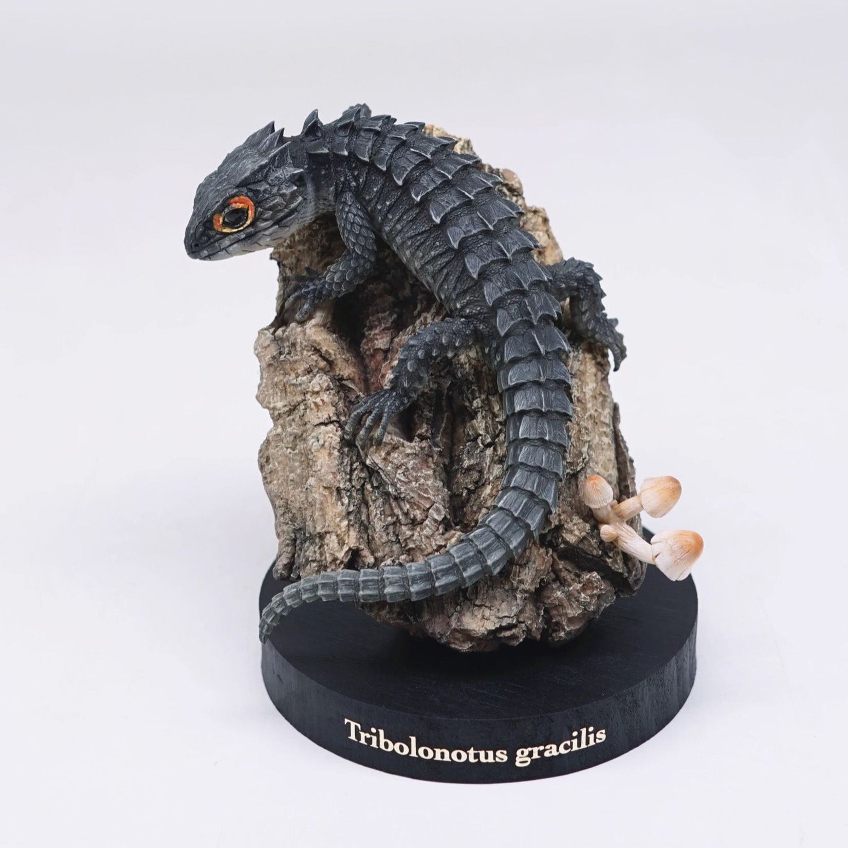 Schildkröten-Serie Tiermodell