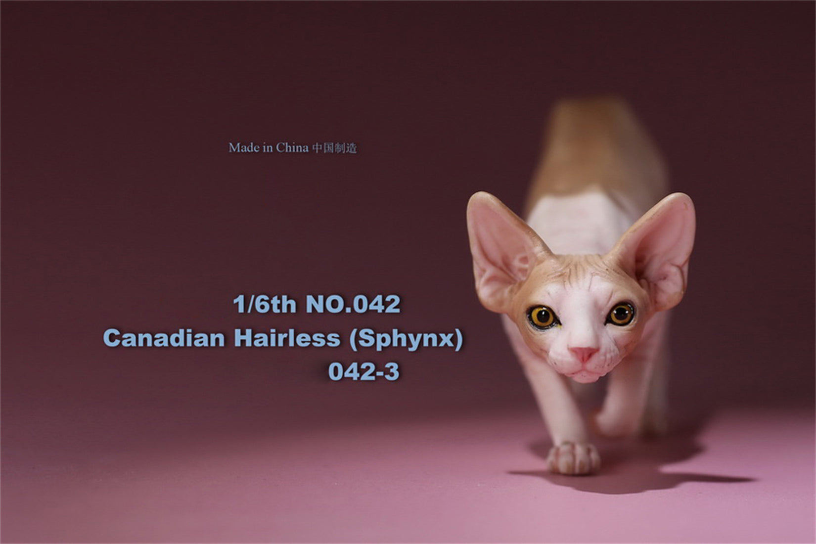 1/6 Canadian Hairless Figure
