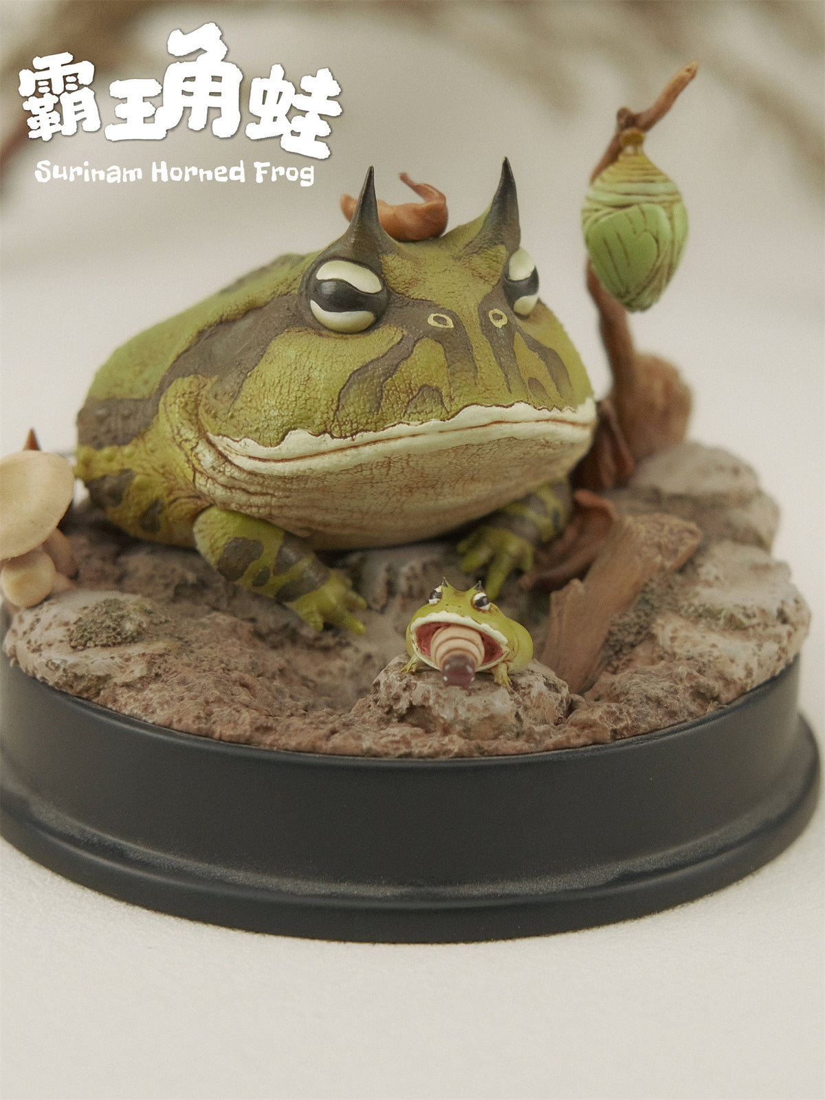 Bowuzhi Studio Limited Edition Surinam Horned Frog Scene Model