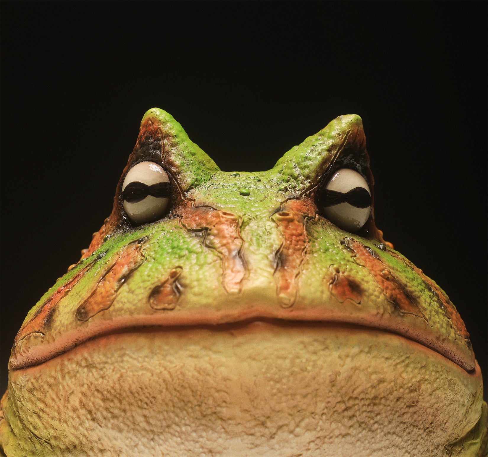 Schildkröten-Serie Tiermodell