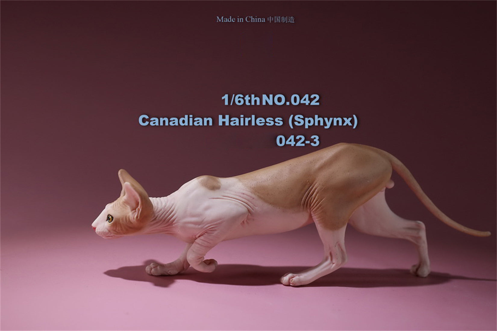 1/6 Canadian Hairless Figure
