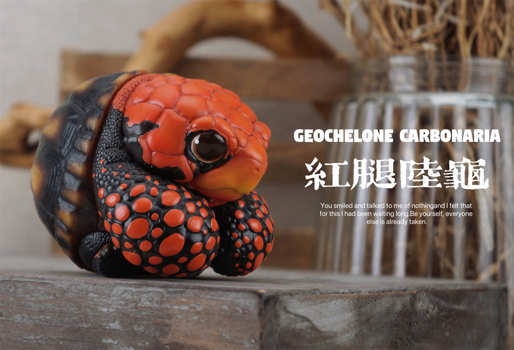 BOWUZHI Studio Geochelone Carbonaria & Chelonoidis Galapagoensis Model