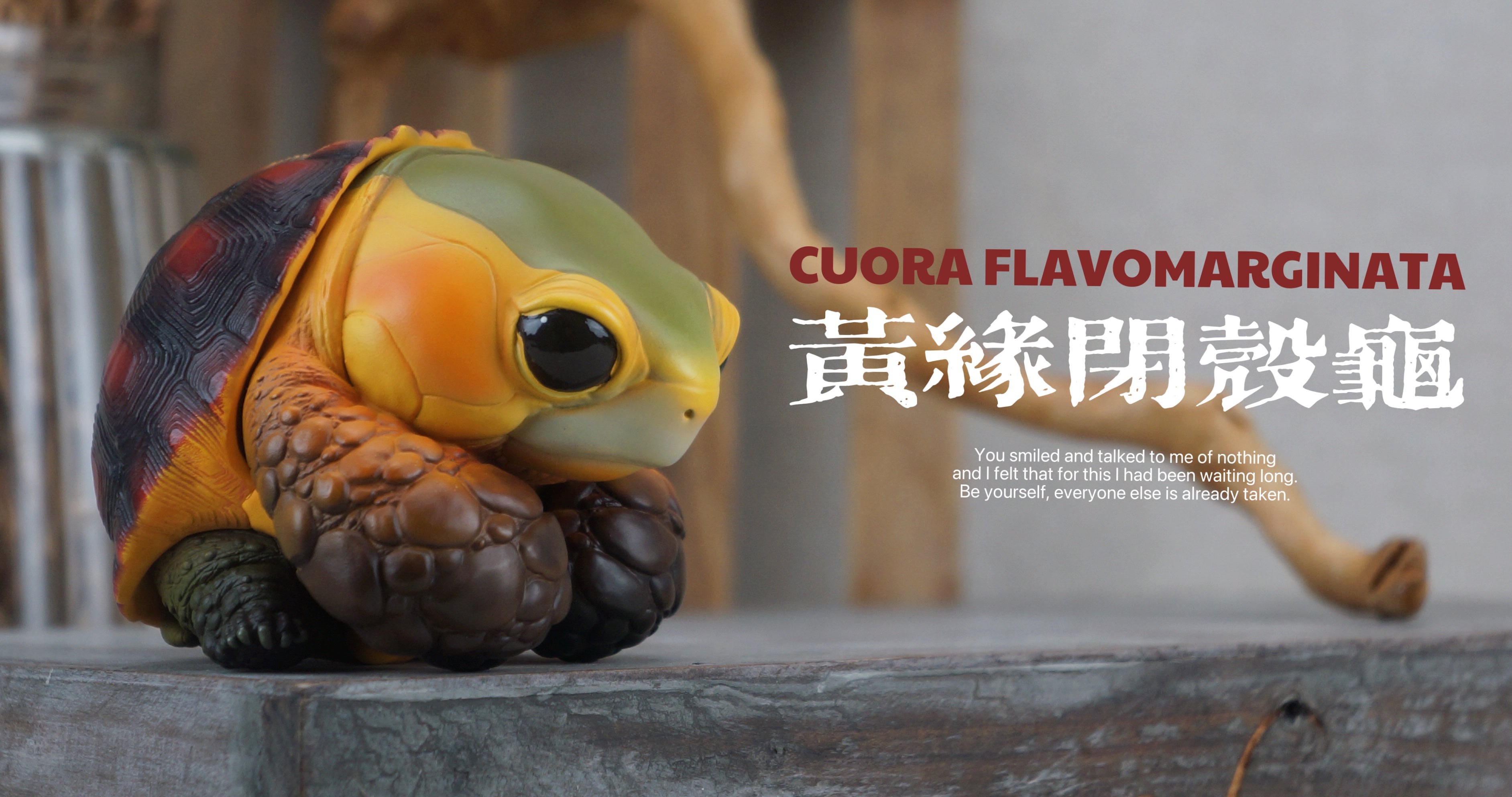 Turtle Model Pet Animal Figure