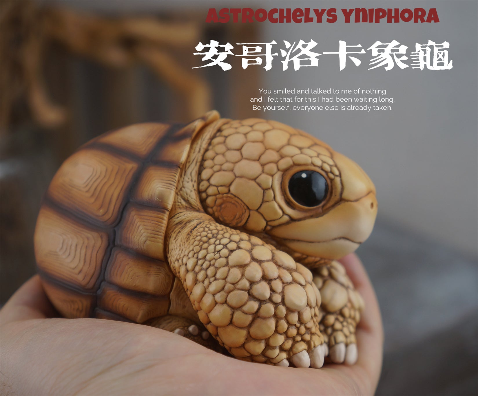 Common Snapping Turtle & Ploughshare Tortoise Figure