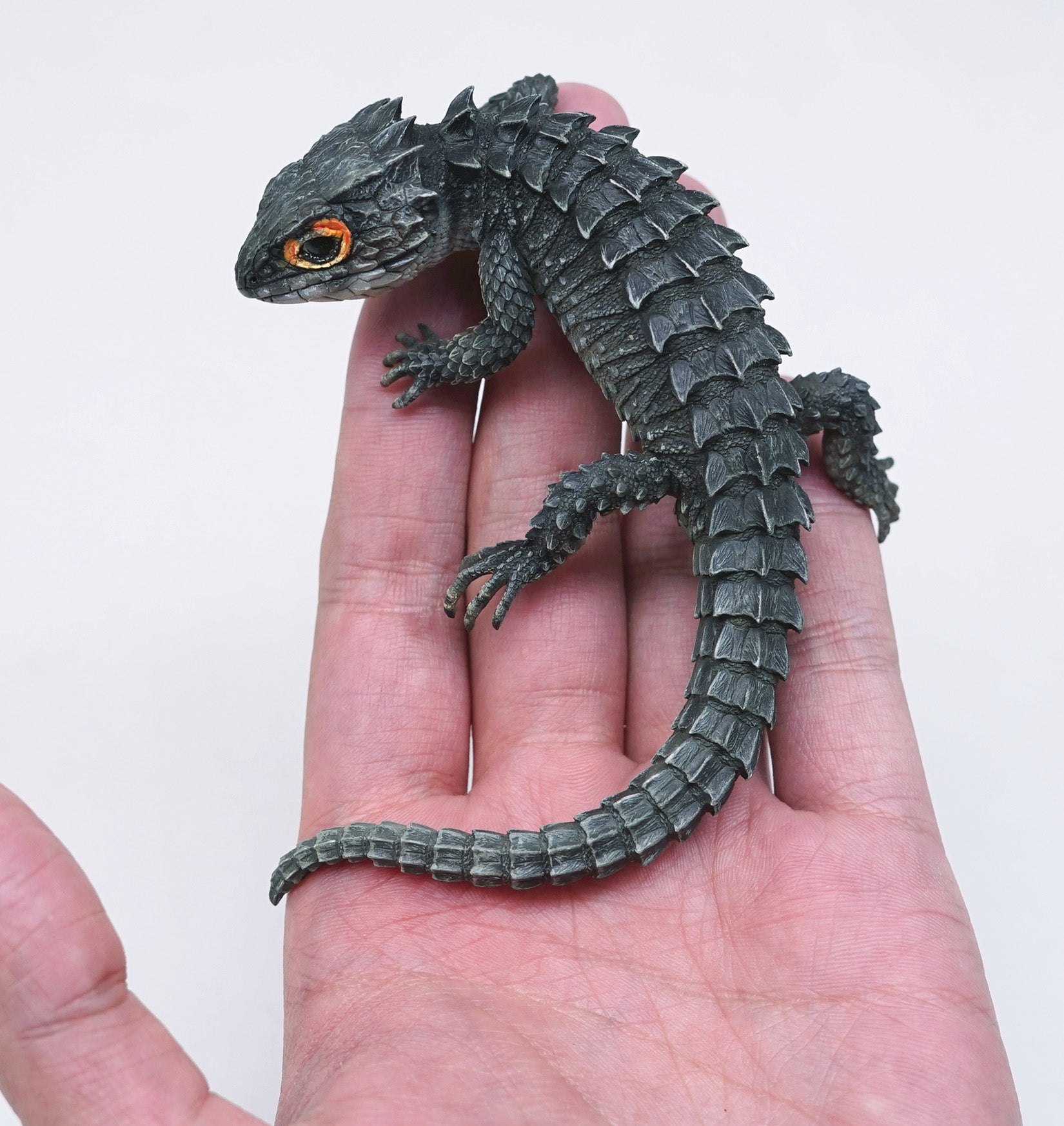 Schildkröten-Serie Tiermodell