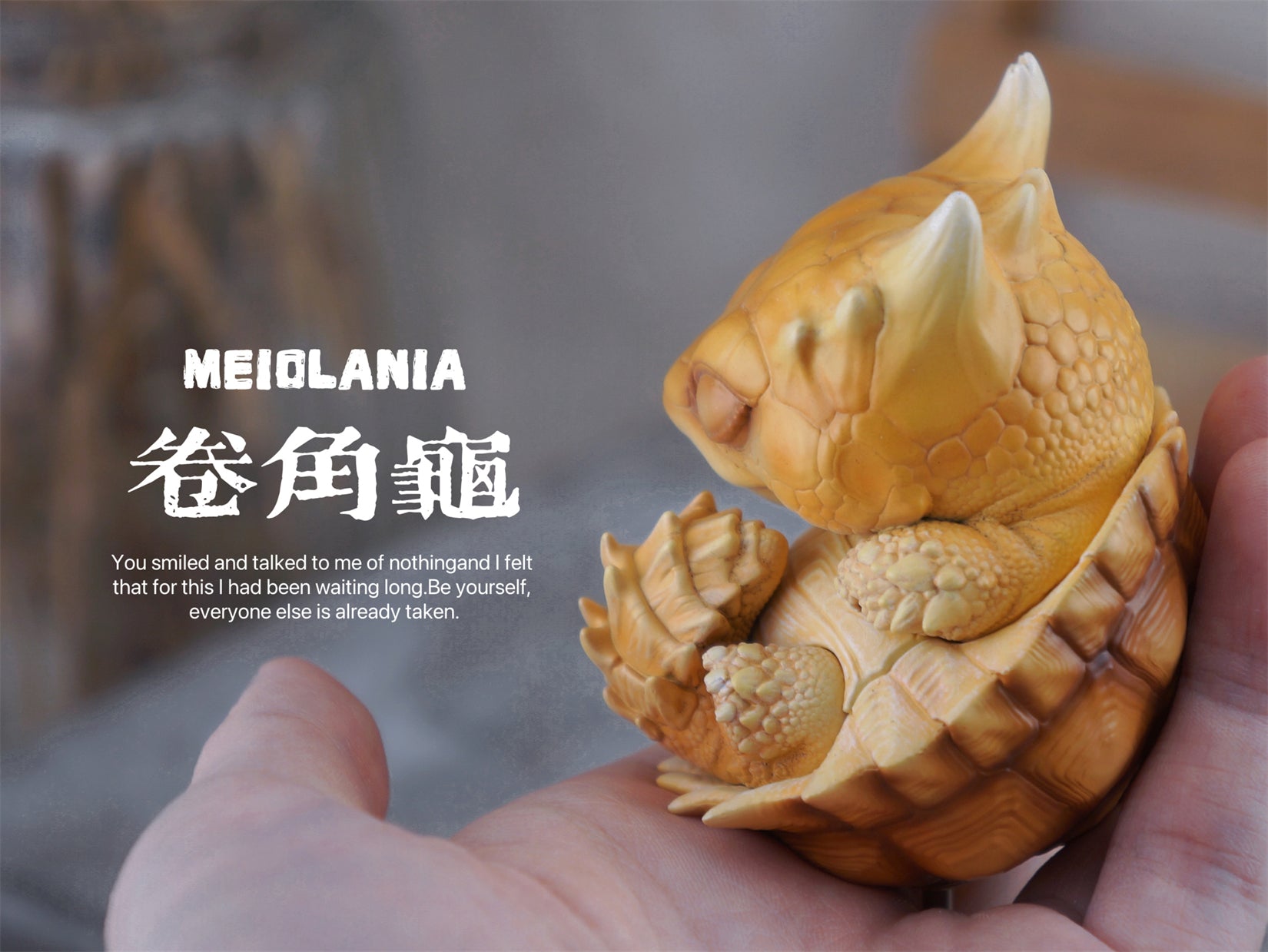 BOWUZHI Studio Sinemys gamera Meiolania Model