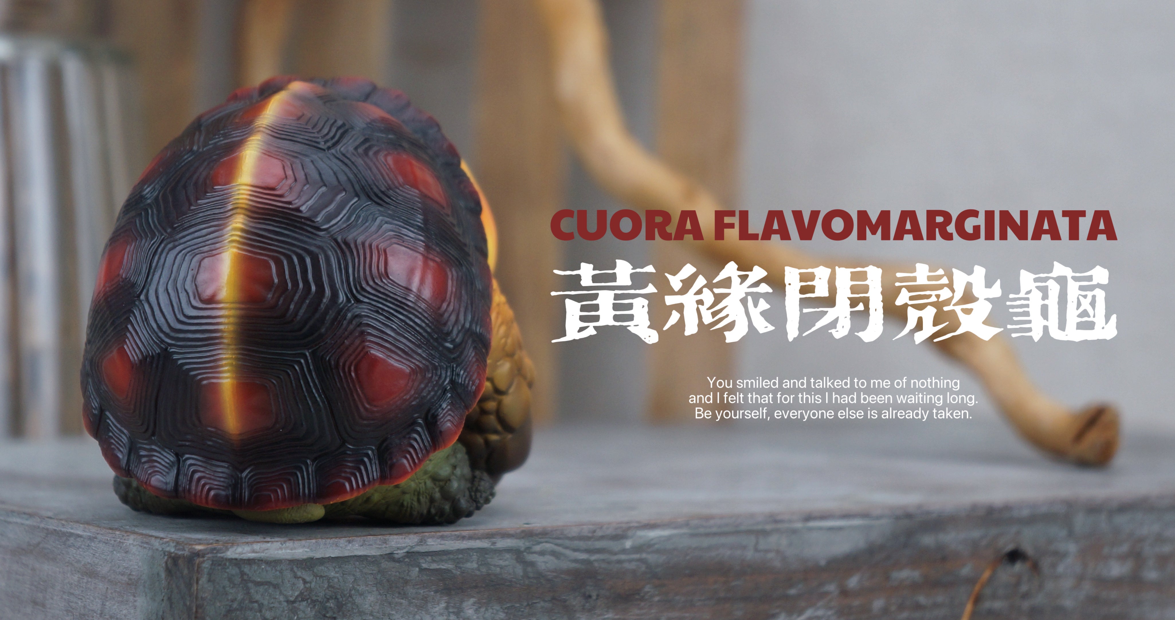 Turtle Model Pet Animal Figure